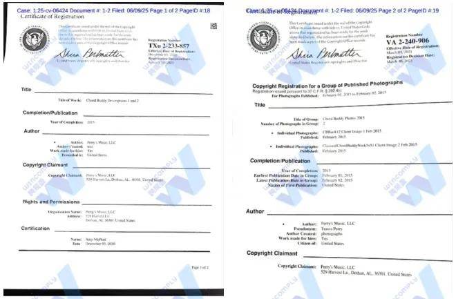 6W+的爆款大卖在PD前因侵权“倒”下不朽情缘登录上千家店铺被TRO！月销(图4)